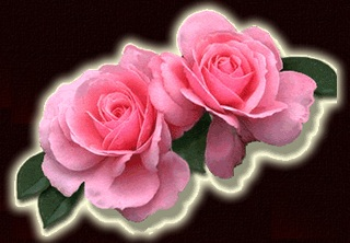 ROSAS ROSAS.bmp